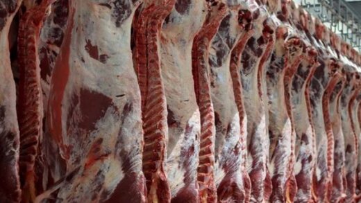 افزایش ۱۸ درصدی عرضه گوشت گوسفند به بازار
