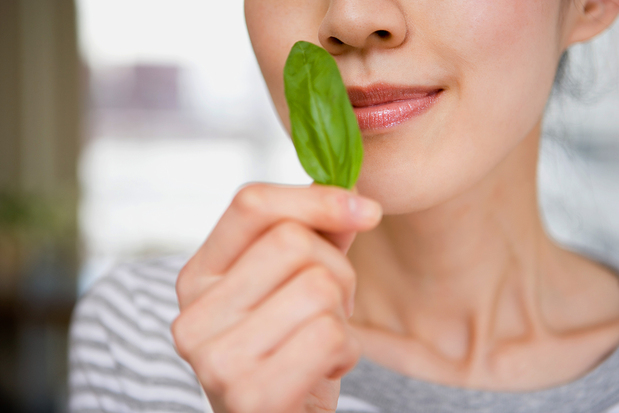 دلیل از دست رفتن بویایی ناشی از کرونا دلیل از دست رفتن بویایی ناشی از کرونا