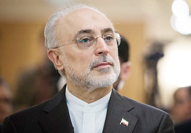 علی اکبر صالحی: از تاریخ پنجم اسفند ماه نظارت‌های فراپادمانی متوقف خواهد شد