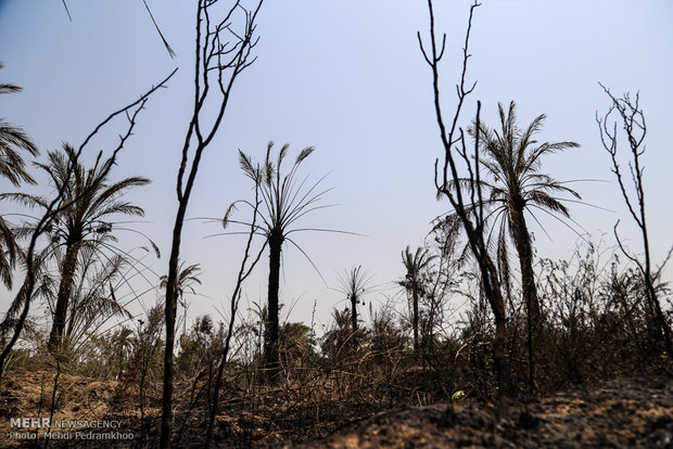 جزئیات آتشسوزی گسترده در اهواز آتشسوزی