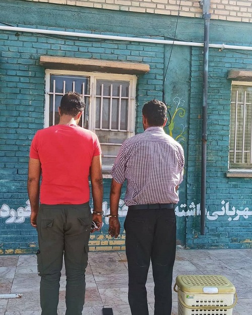 قاچاقچی