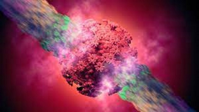 همه چیز درباره ویروس دلتا کرونا همه چیز درباره ویروس دلتا کرونا