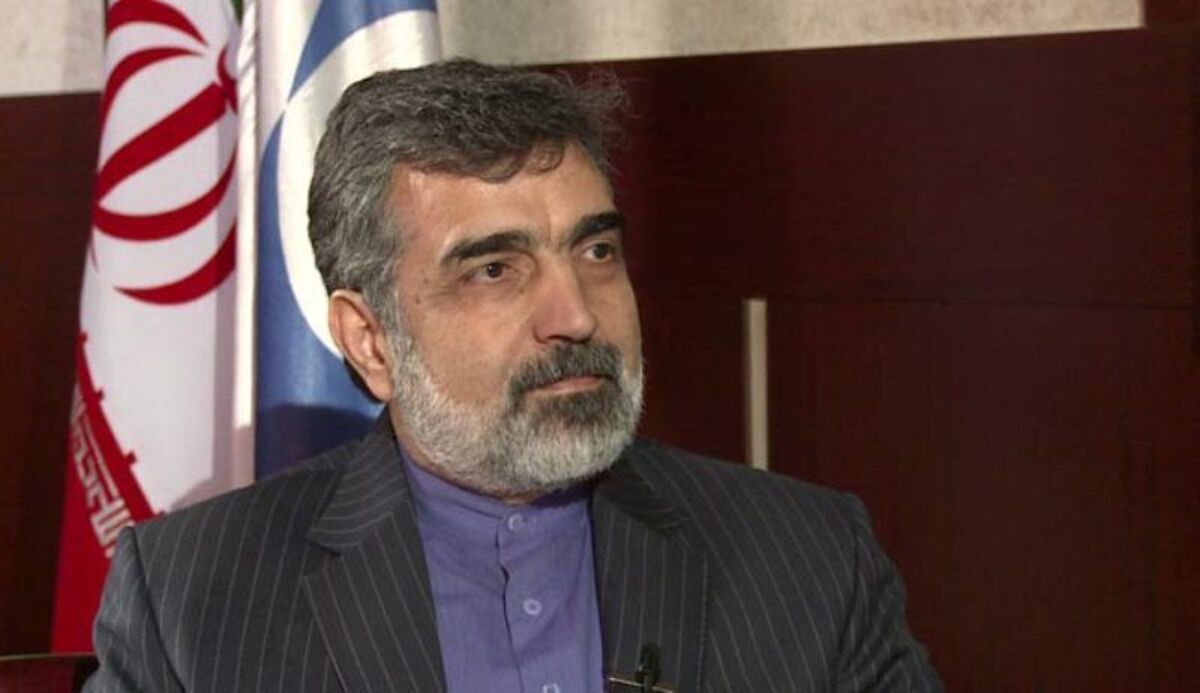 کمالوندی: دوربین های آژانس بعد از بررسی های دقیق فنی،امنیتی و قضایی نصب می شوند