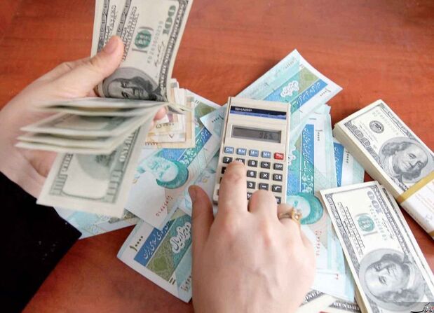 یارانه ۳ میلیونی دولت به هر ایرانی! / چه کسانی مشمول یارانه ارزی می شوند؟