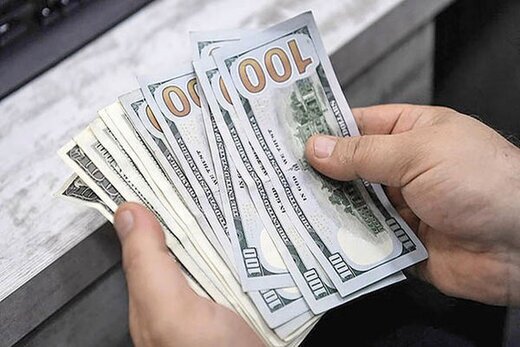 جراحی اقتصادی محدود به تغییر قیمت شد/ فرزین در 45 روز چقدر رانت توزیع کرد؟