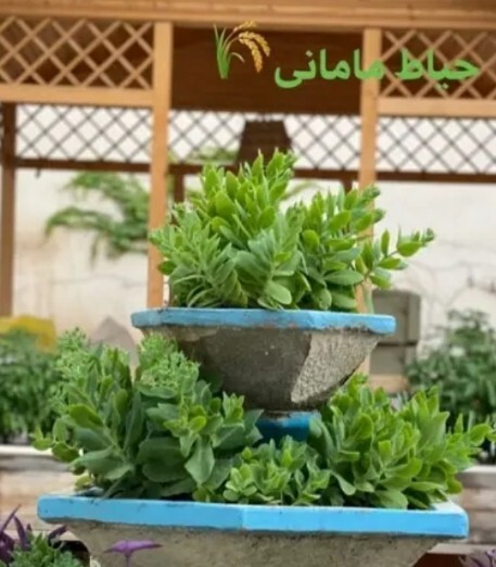 لیندا کیانی عکسی از خانه رویایی خود منتشر کرد لیندا کیانی عکسی از خانه رویایی خود منتشر کرد