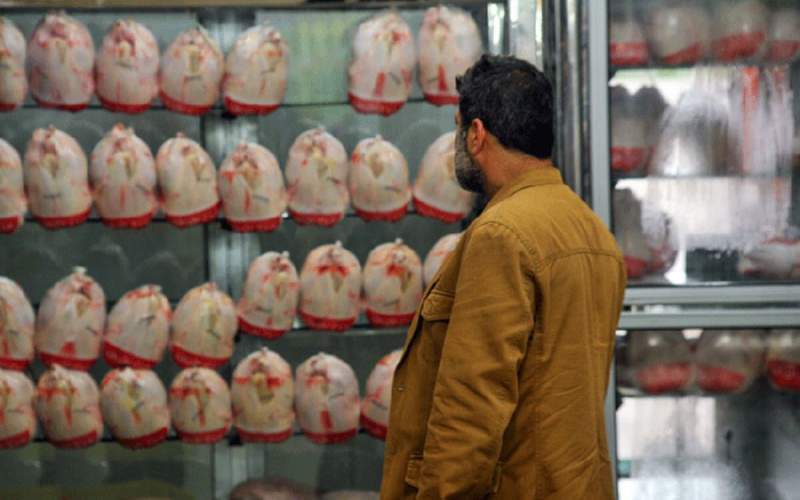 چرایی افزایش قیمت مرغ به کیلویی ۱۰۰ هزار تومان