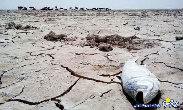 بمب ساعتی ناترازی ایران، برق و گاز نیست؛ آب است