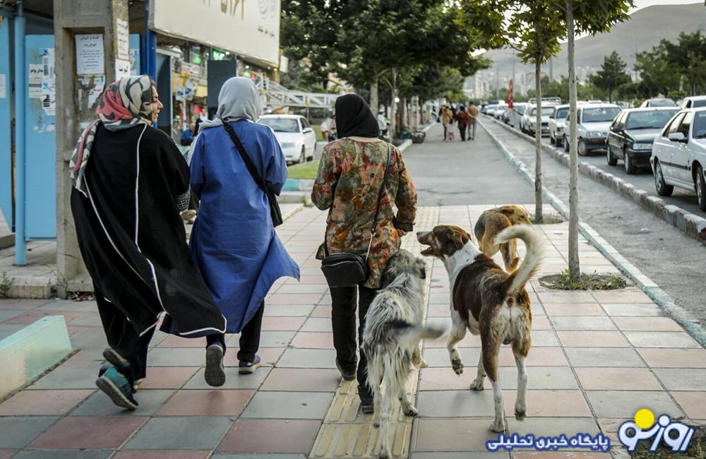 رونمایی از مافیای غذا و داروی سگ