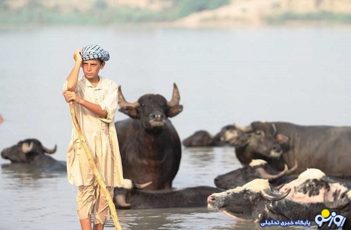 مسمومیت تنفسی ۵ مرد با یک دلیل عجیب! مسمومیت تنفسی ۵ مرد با یک دلیل عجیب!