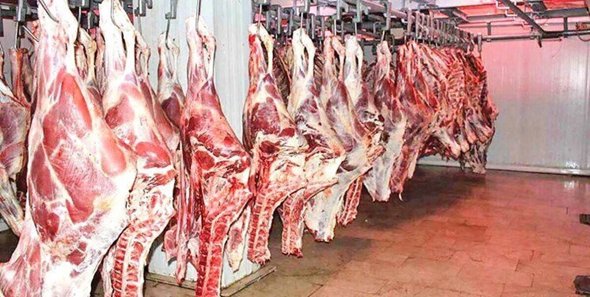 تکلیف ارز ترجیحی واردات گوشت قرمز تعیین شد تکلیف ارز ترجیحی واردات گوشت قرمز تعیین شد