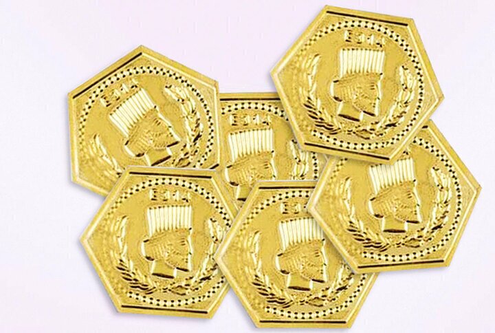 قیمت سکه پارسیان امروز یکشنبه ۱۳ دی