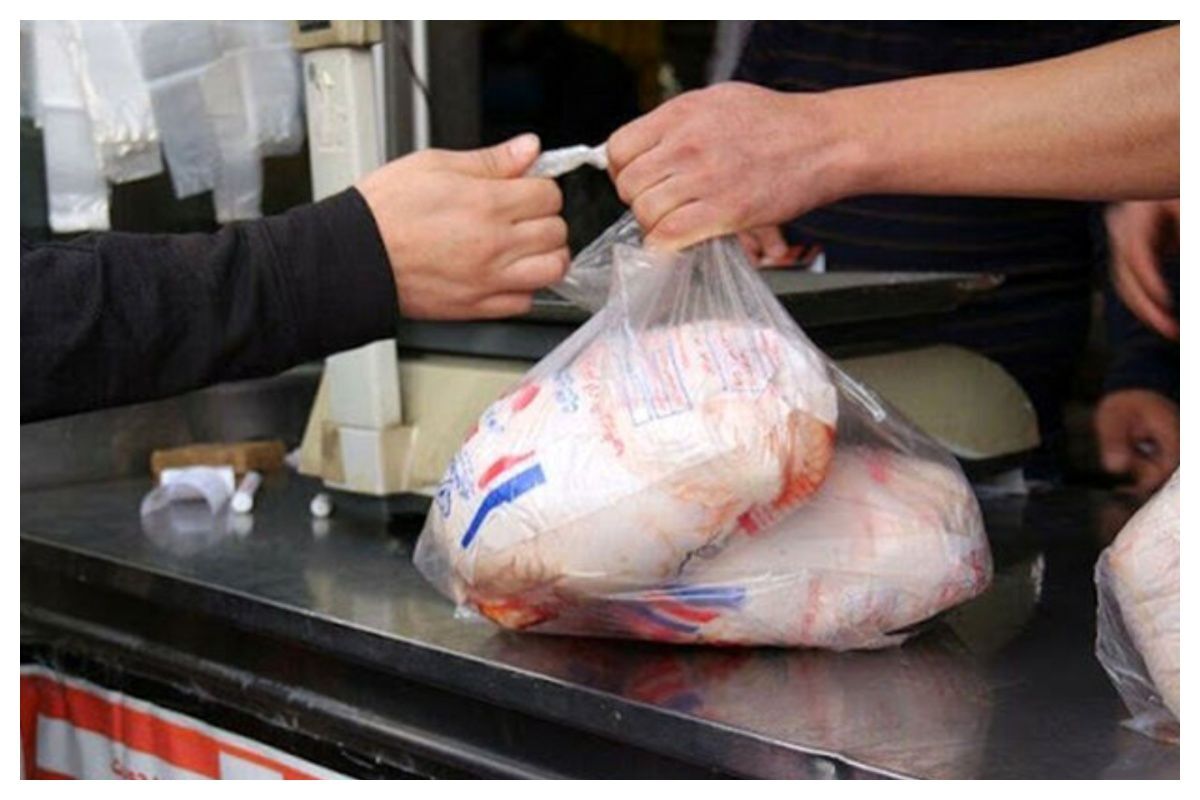 هشدار درباره نجومی شدن قیمت مرغ