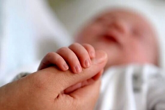 مناطق مرفه تهران، رکورددار کمترین میزان فرزندآوری