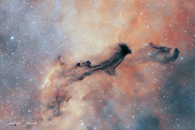 تصویر ناسا از سحابی تاریک بارنارد ۹۳