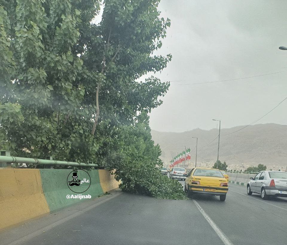 8f56cd13-40e8-446e-ad8d-805e4a94a877