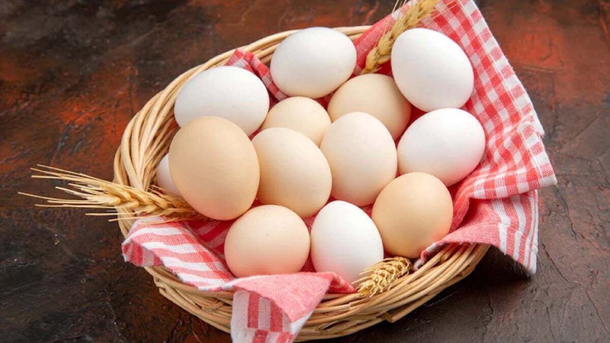 قیمت جدید تخم‌مرغ اعلام شد