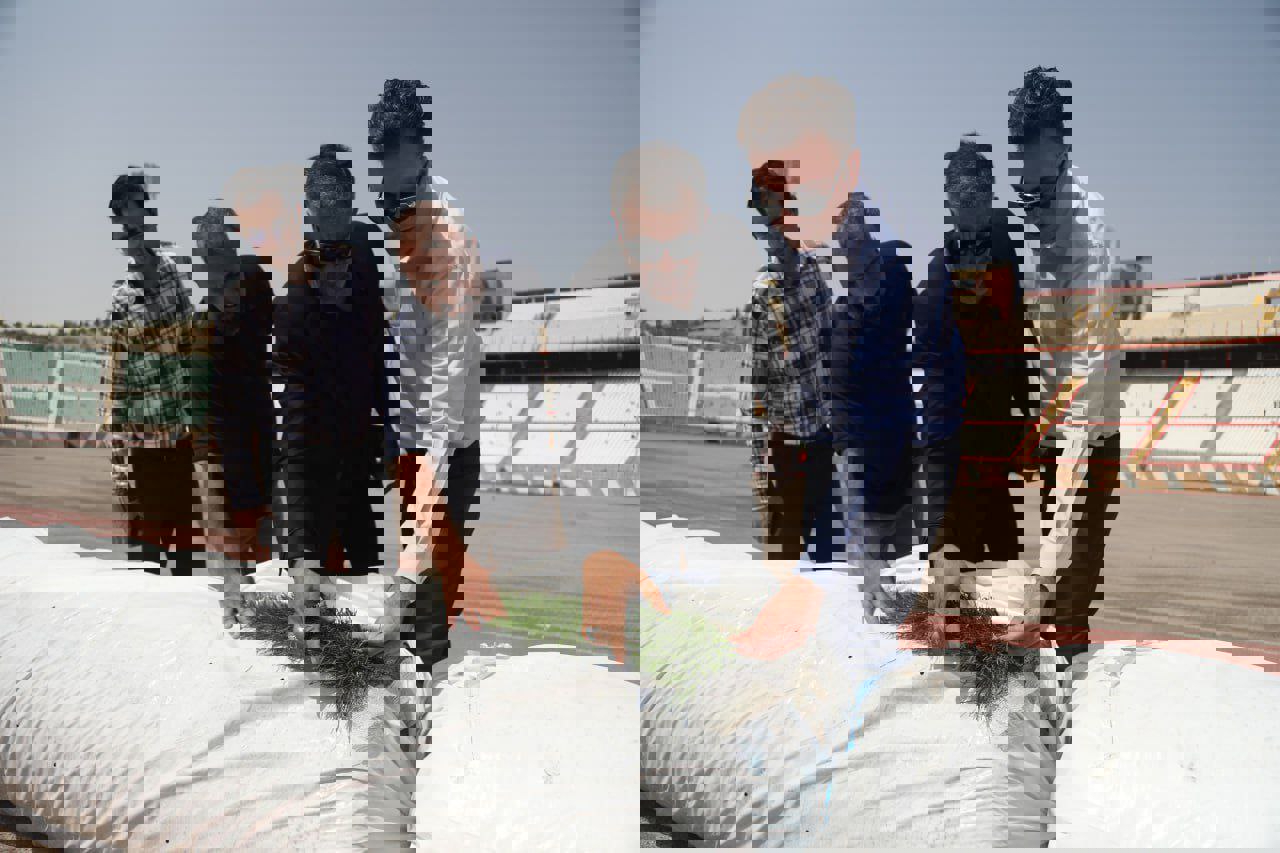 hahcpgd46