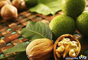 چرا خرید و فروش گردوی سبز ممنوع شد؟