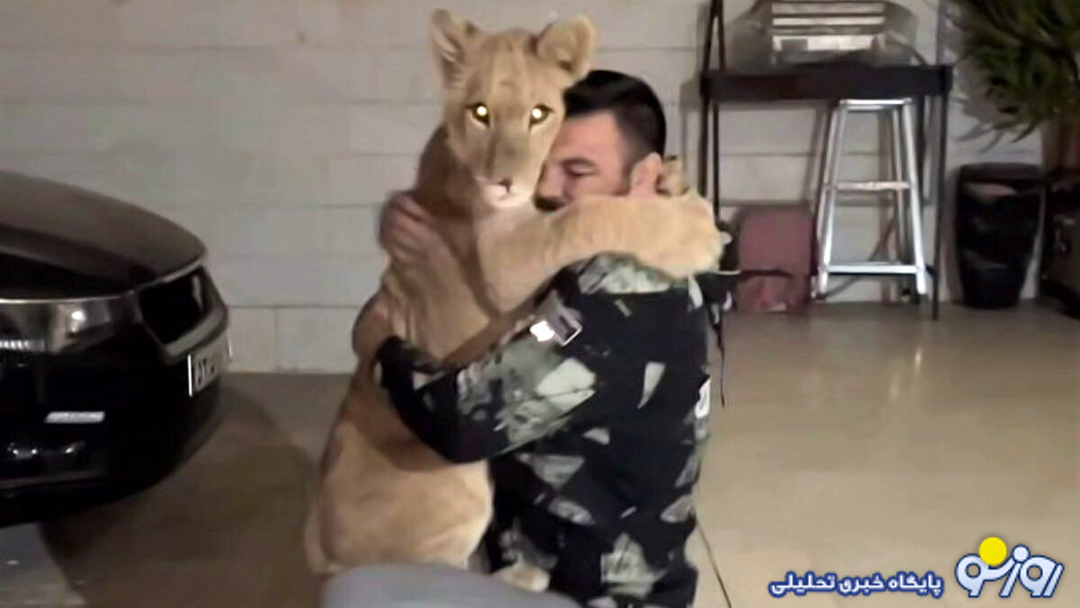 توله شیر‌ی علی اکبری تلف شد