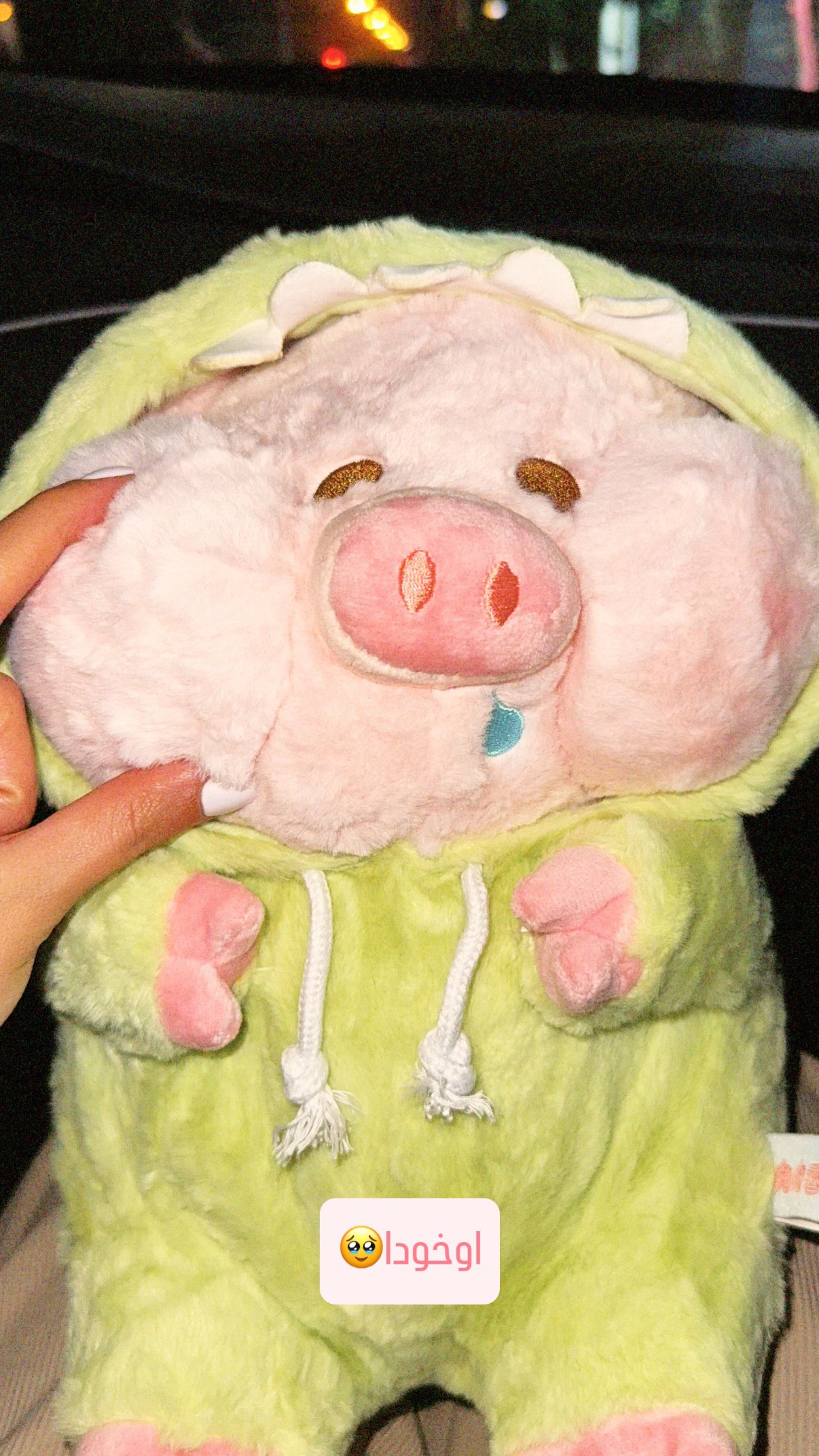 photo_2025-10-12_10-38-37