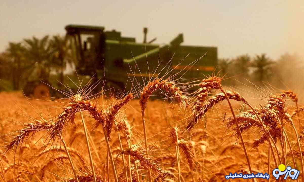 قیمت تضمینی گندم تعیین شد