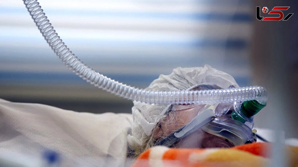 photo_2025-09-24_23-09-47