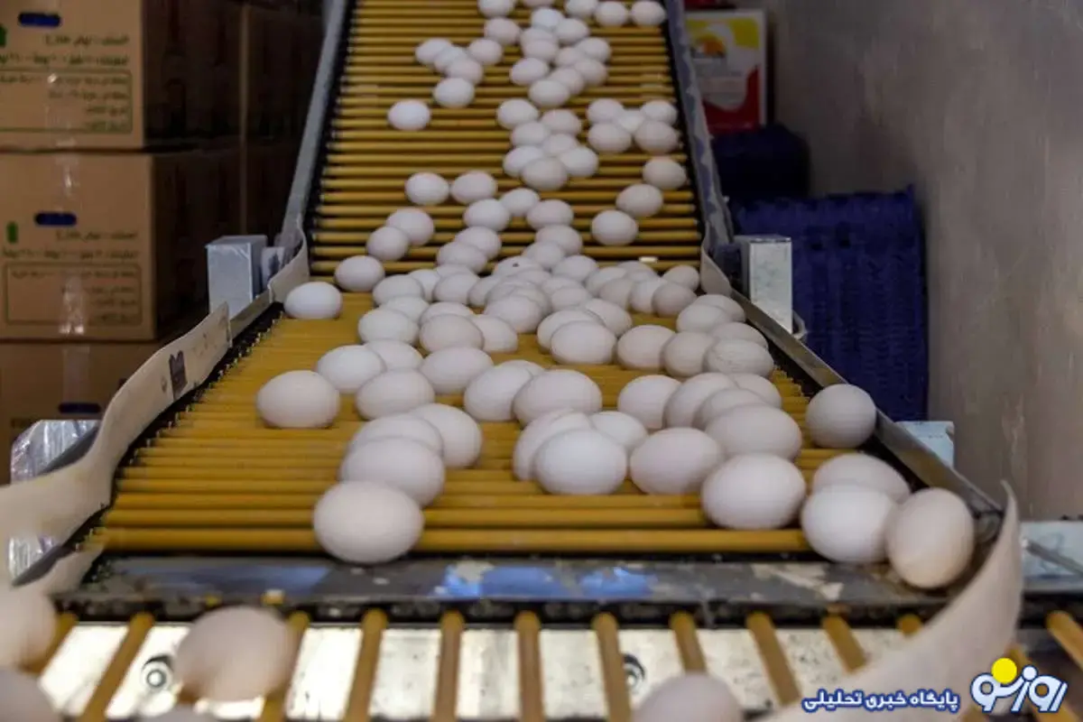 قیمت جدید تخم‌مرغ اعلام شد