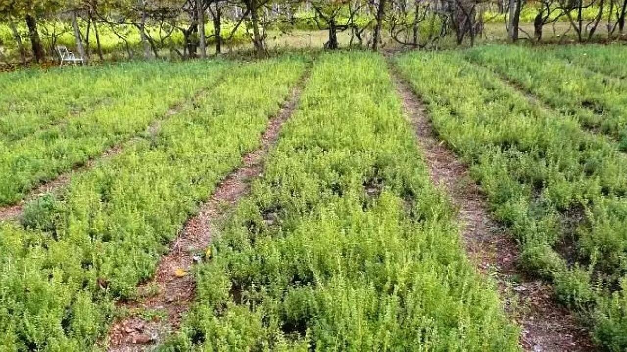 آیا «تخلیه تهران» امکانپذیر است؟ آیا «تخلیه تهران» امکانپذیر است؟