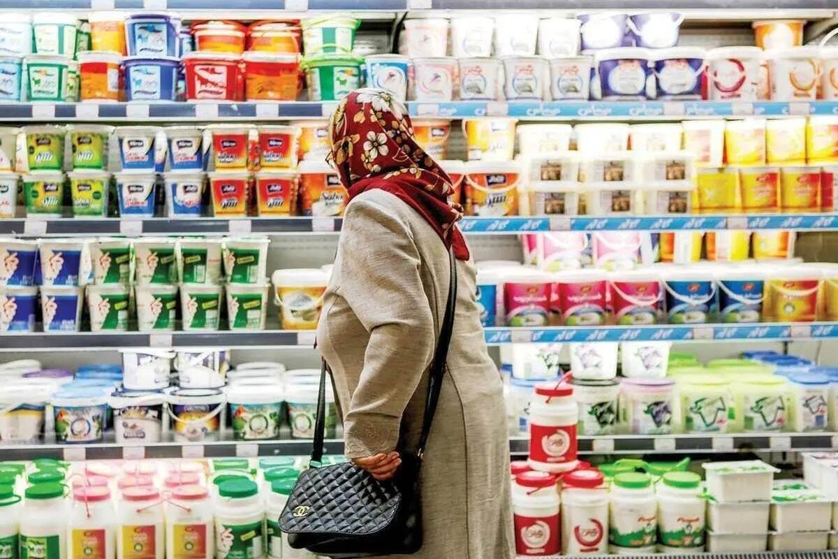 لبنیات هم لوکس شد/ پنیر نخوریم نمیمیریم!