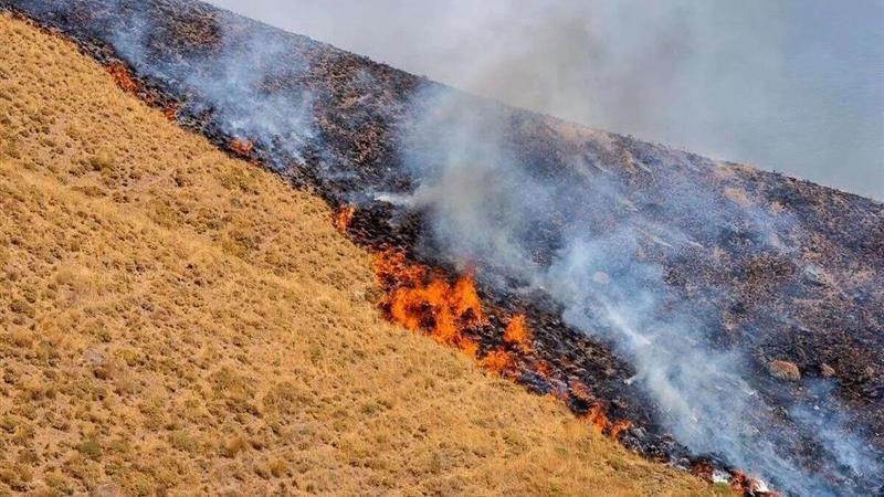 آتشسوزی در جنگلهای بدره ایلام