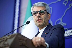 سخنگوی وزارت خارجه: آمریکایی‌ها پاسخ طرح ۱۴ بندی ایران را به طرف پاکستانی داده‌اند و ما در حال بررسی آن هستیم