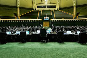 خیز برخی نمایندگان برای استیضاح یک وزیر؛ تندروها مشغول کارند!/ دولت پای حرف خود می‌ایستد؟