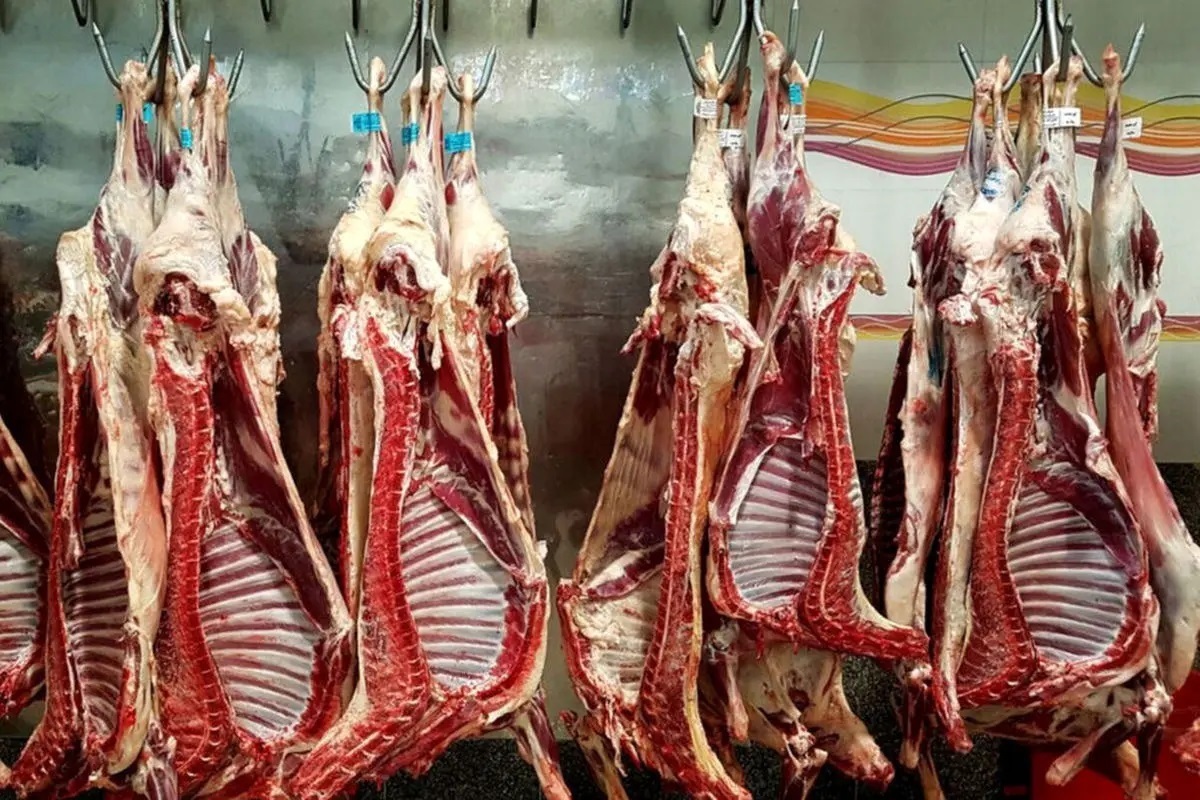قیمت جدید گوشت قرمز امروز ۲۶ مرداد ۱۴۰۵