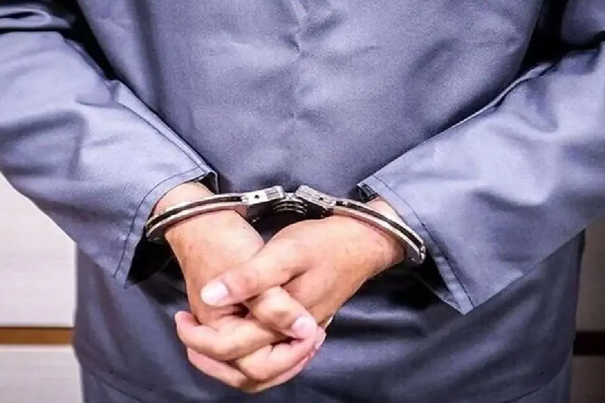 متهم پرونده نیلوفر مجاور هنگام خروج از کشور دستگیر شد